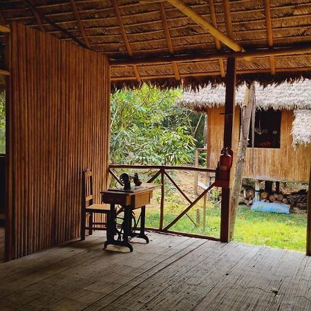 Castana Amazon Park Hostel Πουέρτο Μαλντονάντο Εξωτερικό φωτογραφία