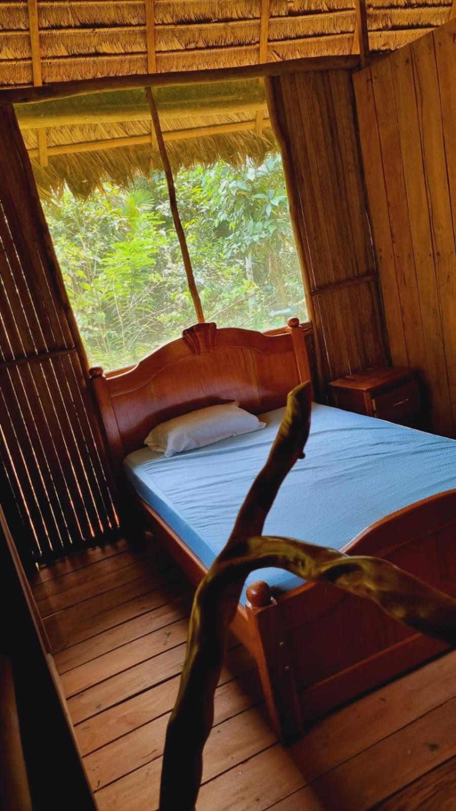 Castana Amazon Park Hostel Πουέρτο Μαλντονάντο Εξωτερικό φωτογραφία