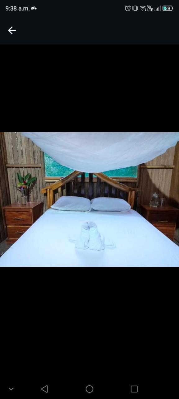 Castana Amazon Park Hostel Πουέρτο Μαλντονάντο Εξωτερικό φωτογραφία