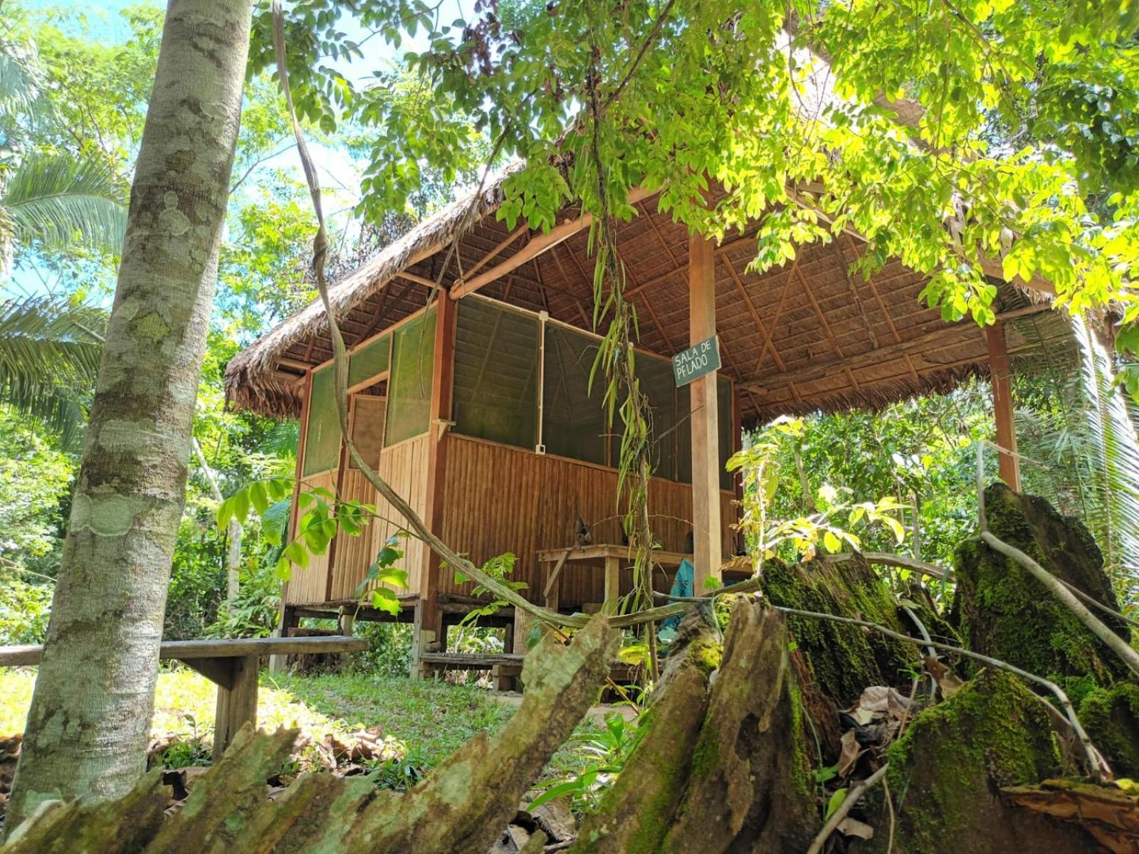 Castana Amazon Park Hostel Πουέρτο Μαλντονάντο Εξωτερικό φωτογραφία