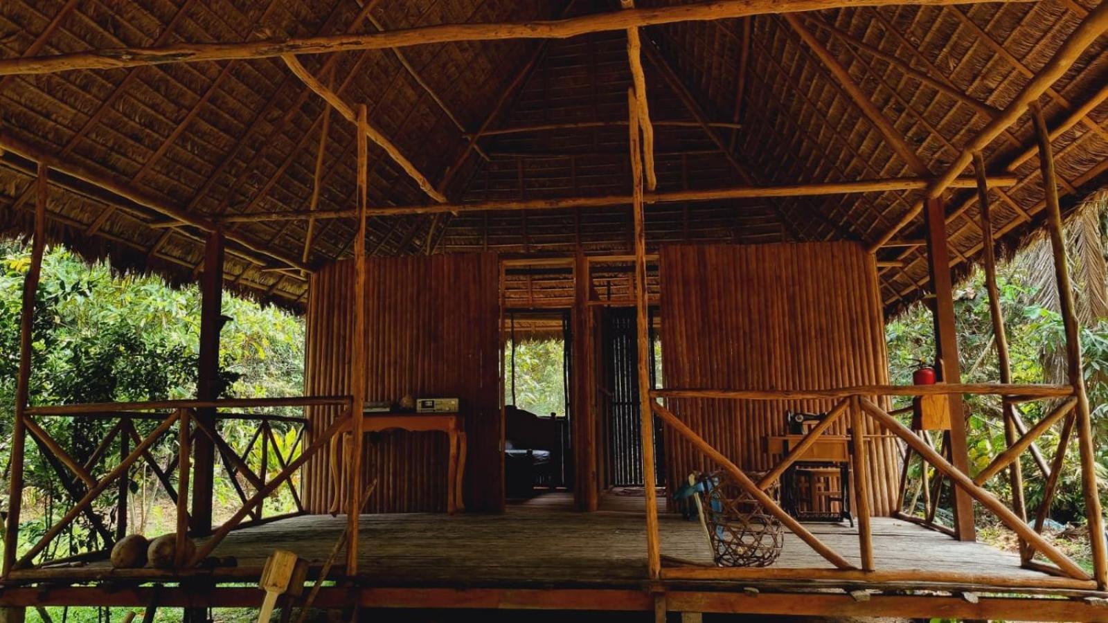 Castana Amazon Park Hostel Πουέρτο Μαλντονάντο Εξωτερικό φωτογραφία