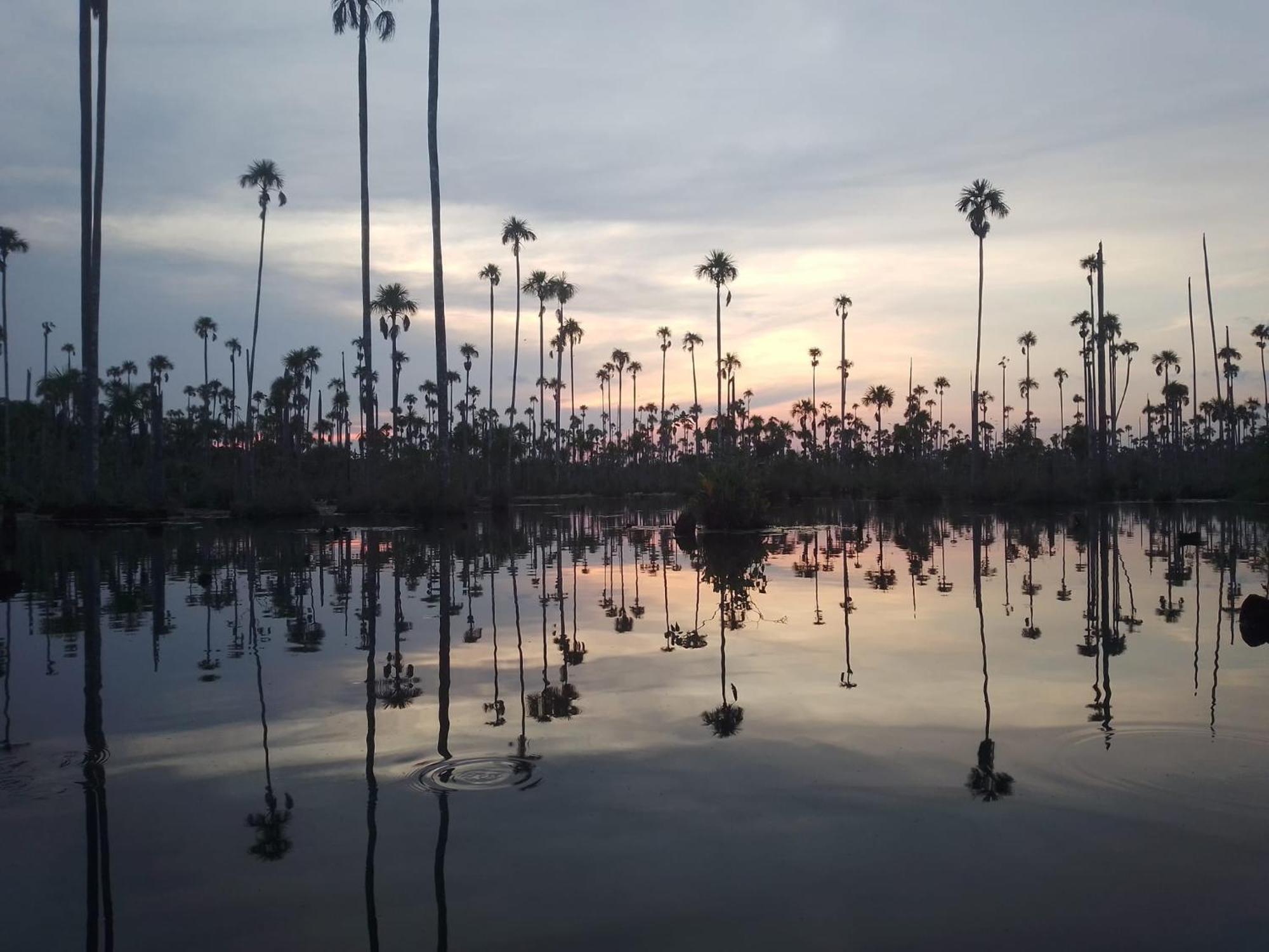 Castana Amazon Park Hostel Πουέρτο Μαλντονάντο Εξωτερικό φωτογραφία