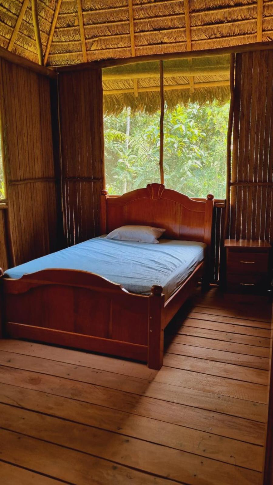 Castana Amazon Park Hostel Πουέρτο Μαλντονάντο Εξωτερικό φωτογραφία