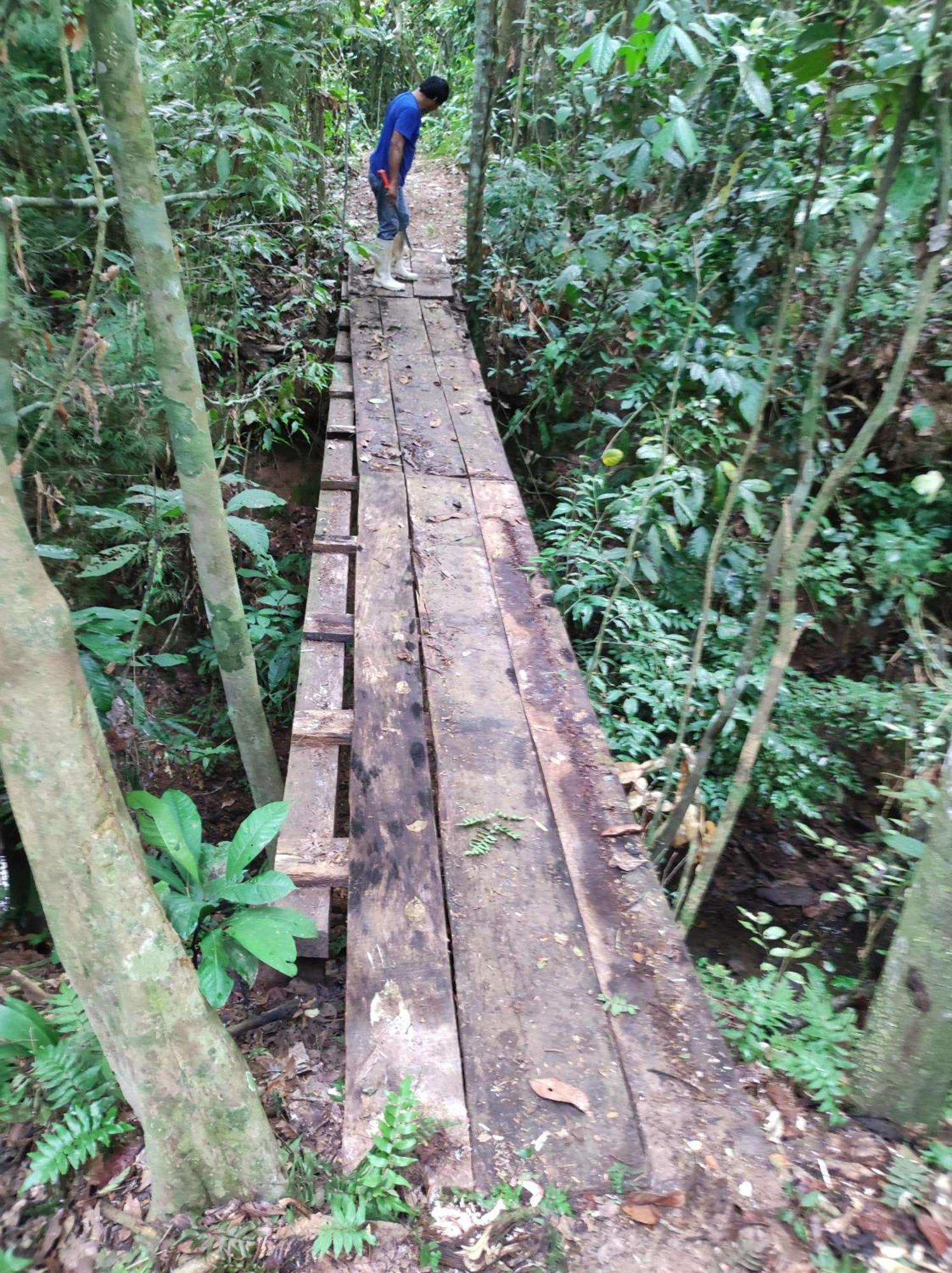 Castana Amazon Park Hostel Πουέρτο Μαλντονάντο Εξωτερικό φωτογραφία