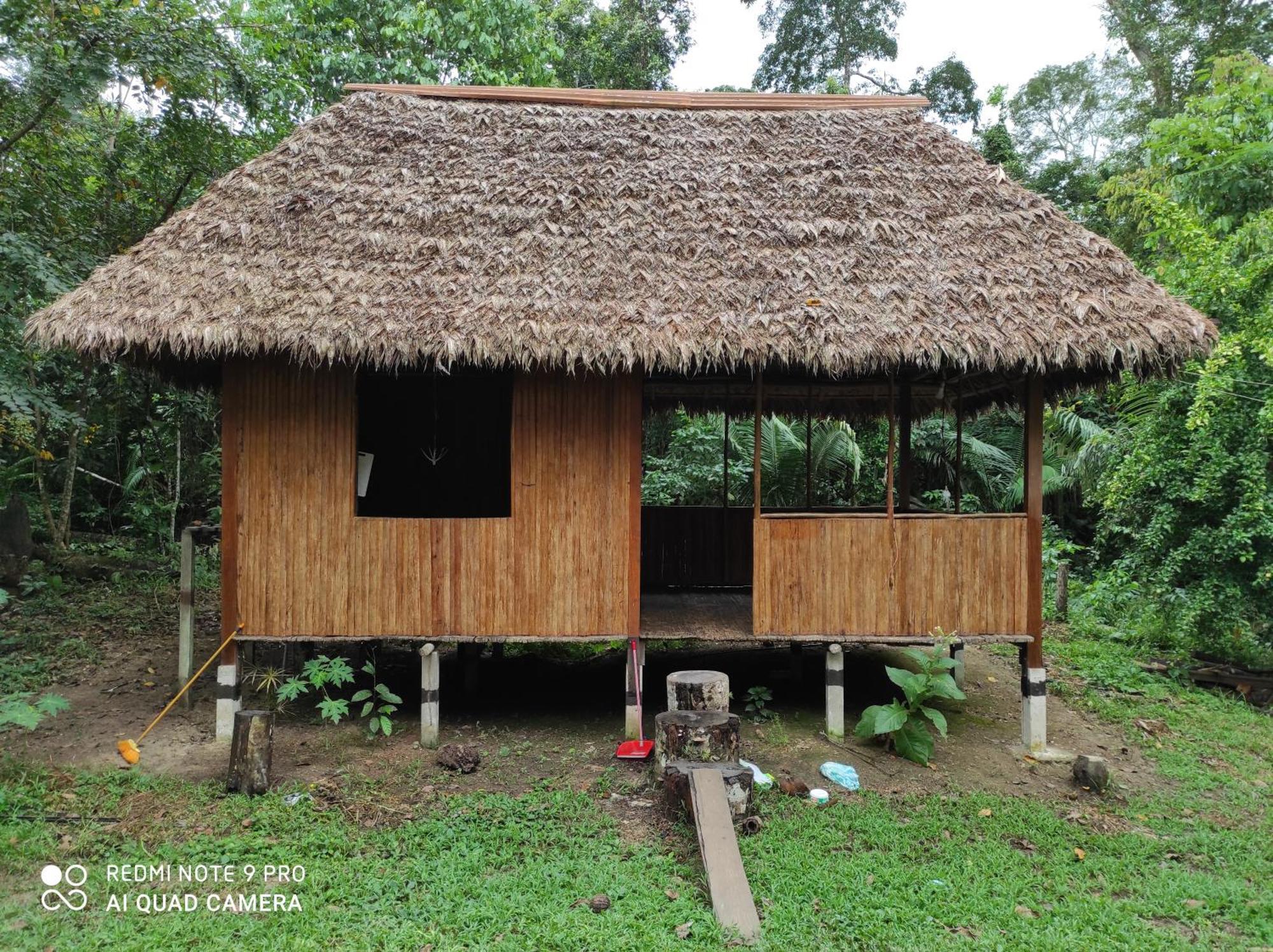 Castana Amazon Park Hostel Πουέρτο Μαλντονάντο Εξωτερικό φωτογραφία