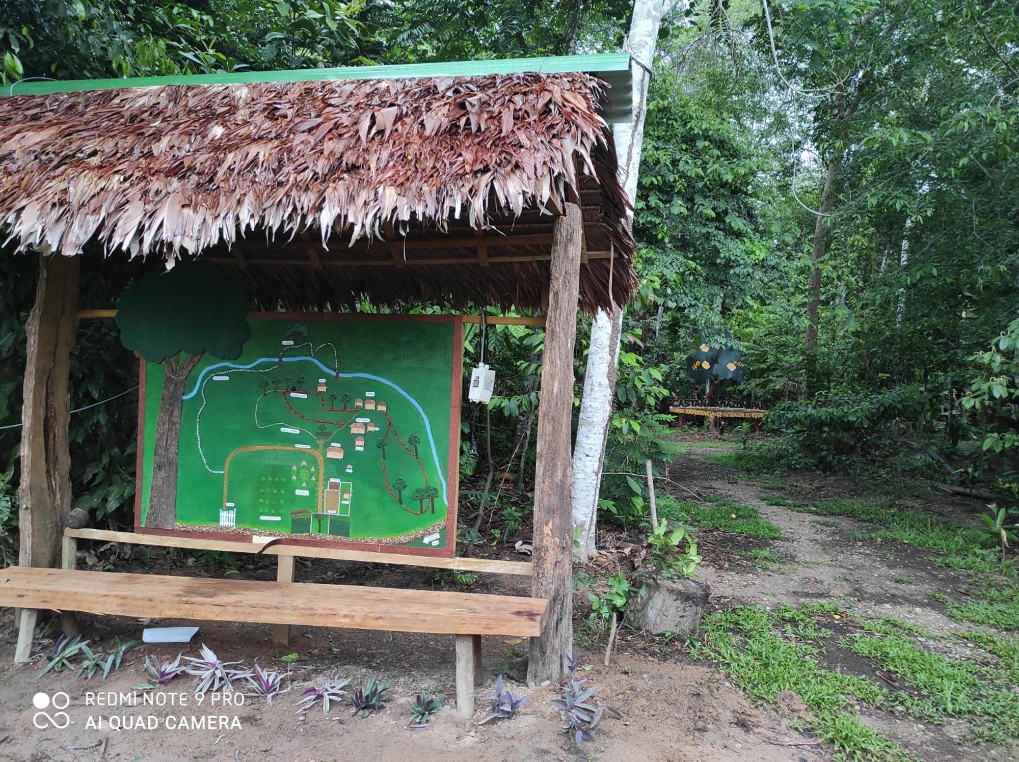 Castana Amazon Park Hostel Πουέρτο Μαλντονάντο Εξωτερικό φωτογραφία
